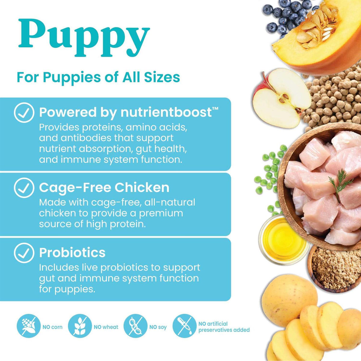 Solid Gold Chicken Dry Dog Food Z93533