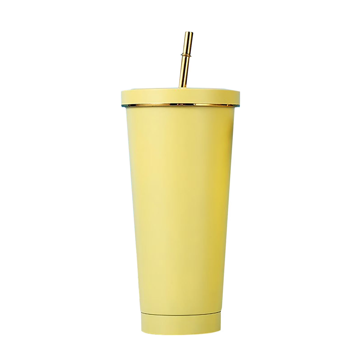 500Ml Double Layer Stainless Steel Water Bottle With Straw K61922