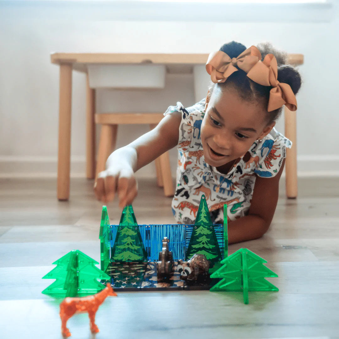 25-Piece Magnetic Construction Set D539
