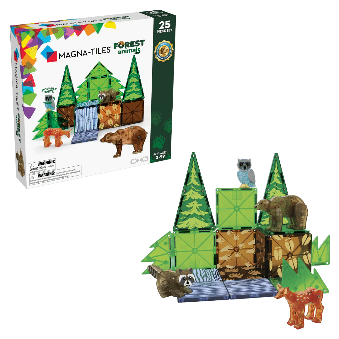 25-Piece Magnetic Construction Set D539
