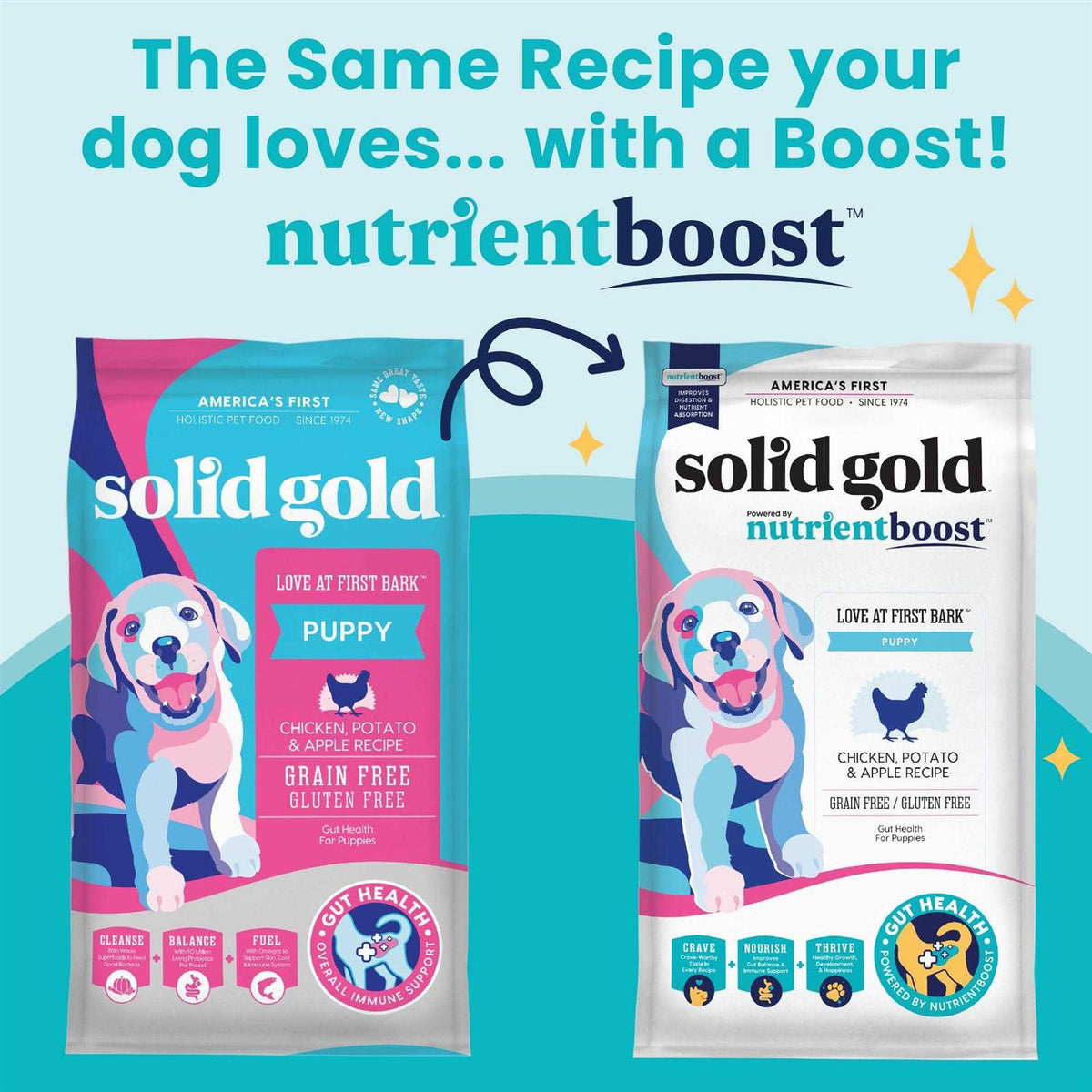 Solid Gold Chicken Dry Dog Food Z93533