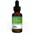 1 oz Usnea Uva Ursi A404515