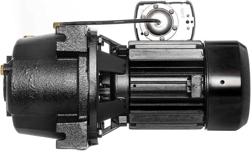 1 HP Cast Iron Convertible Jet Well Pump with Ejector Kit D4446