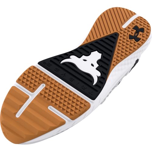 Men's Sneaker Y501